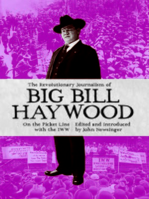 cover image of The Revolutionary Journalism of Big Bill Haywood
